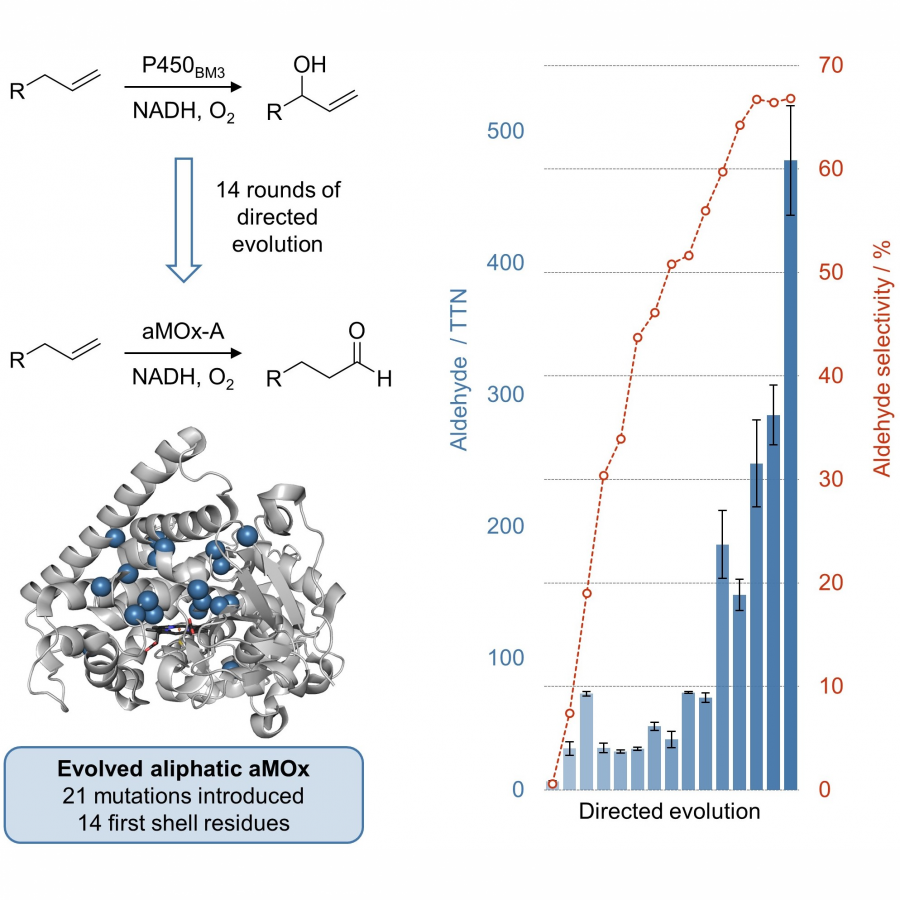 https://biotrans2023.livescience.io/medias/biotrans2023/abstract_submission/figure-150-1.png