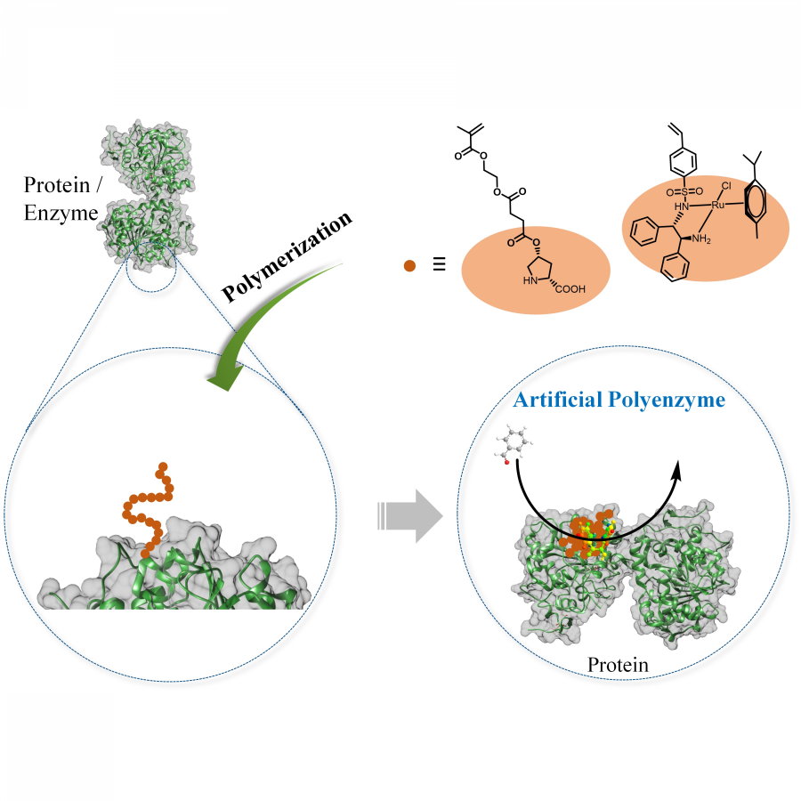 Fermentation: Humanity's Oldest Biotechnological Tool · Frontiers for Young  Minds