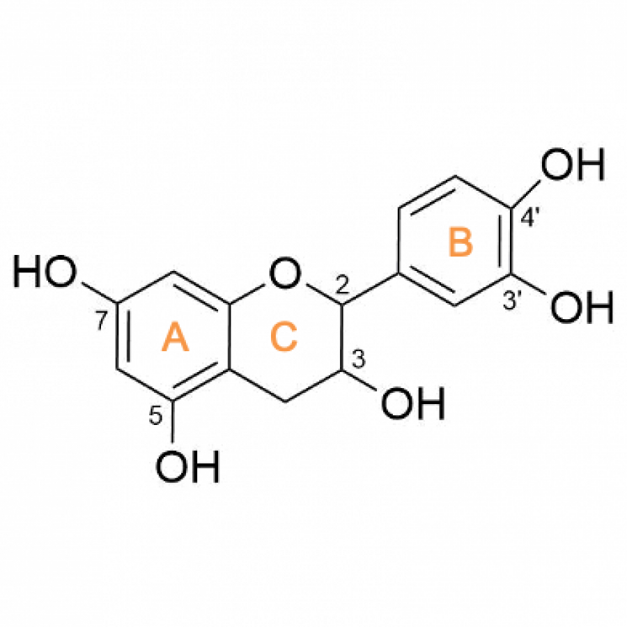 Exploring a New Biocatalyst from Bacillus thuringiensis JNU01 for